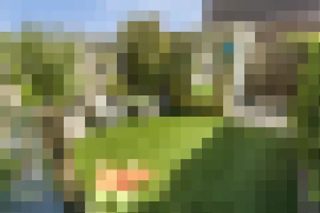 Eurokade 34 Amsterdam thumbnail 8