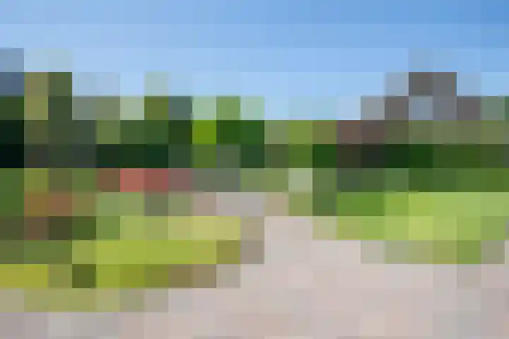 Europa-ring 28 Wierden thumbnail 7