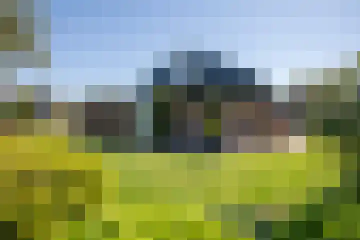 Europa-ring 28 Wierden thumbnail 8