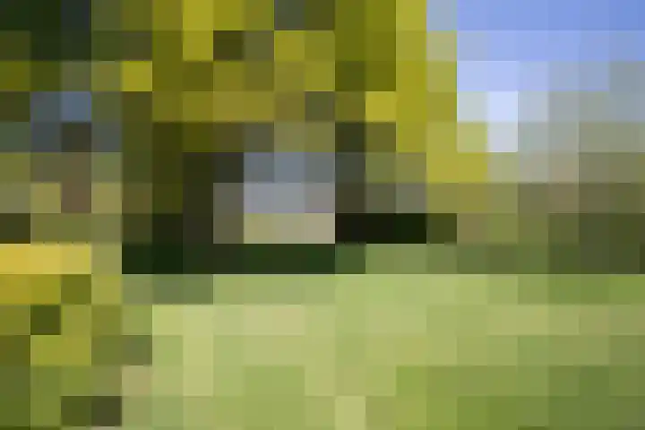 Europa-ring 43 Wierden thumbnail 45