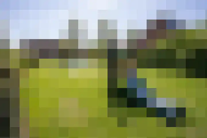 Europa-ring 43 Wierden thumbnail 46