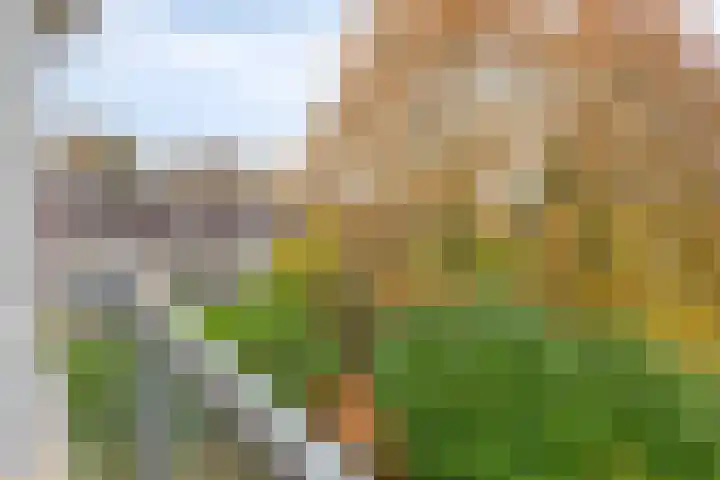 Europalaan 124 Enschede thumbnail 27