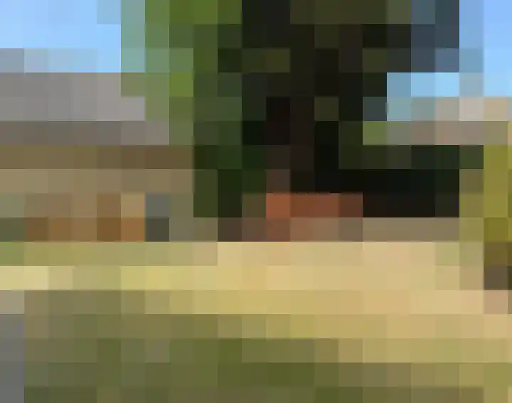 Europalaan 29 West-Terschelling thumbnail 37