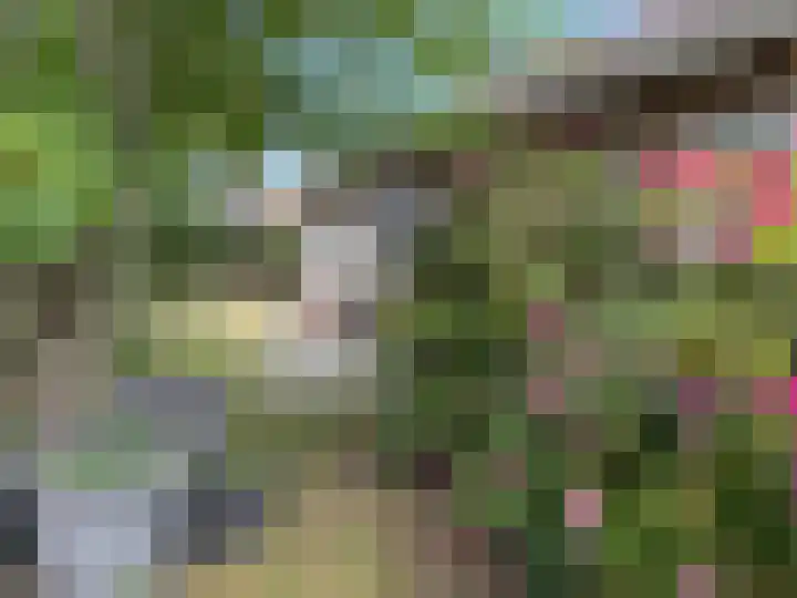 Europalaan 29 West-Terschelling thumbnail 39