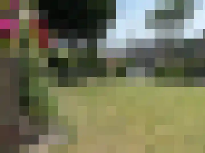 Europalaan 29 West-Terschelling thumbnail 42