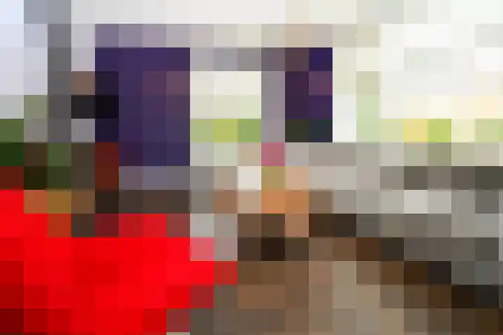 Europalaan 29 West-Terschelling thumbnail 7