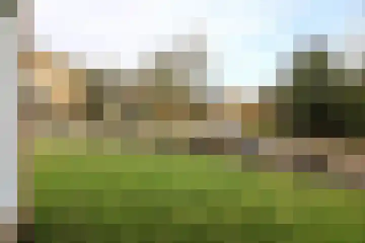 Europalaan 38 West-Terschelling thumbnail 30
