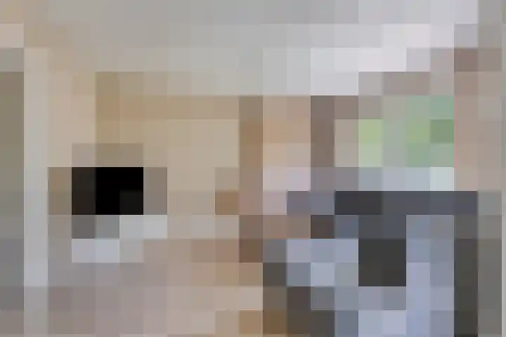 Europalaan 421 Tilburg thumbnail 12