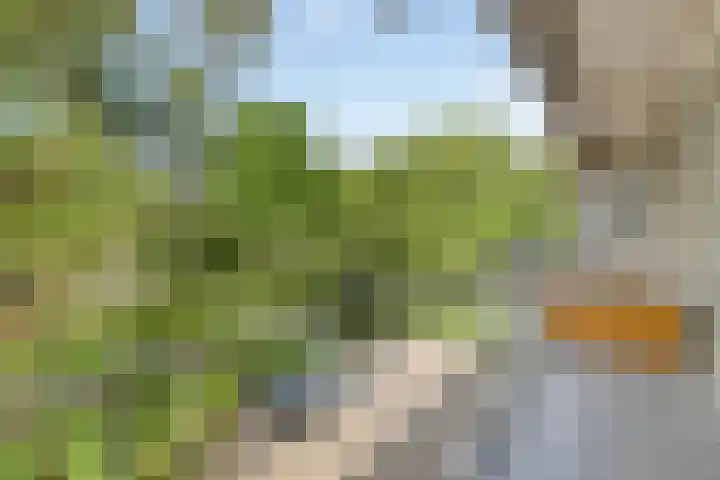 Europalaan 421 Tilburg thumbnail 14
