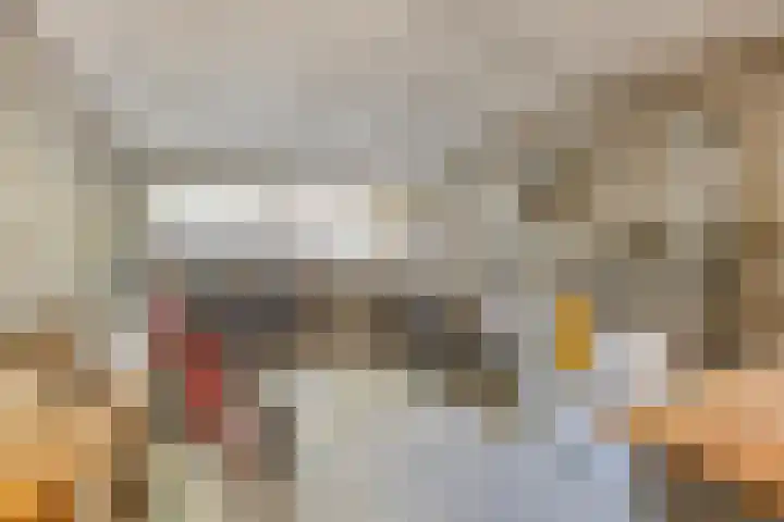 Europalaan 421 Tilburg thumbnail 22