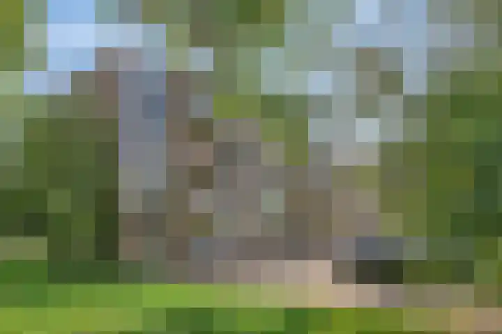 Europalaan 421 Tilburg thumbnail 26
