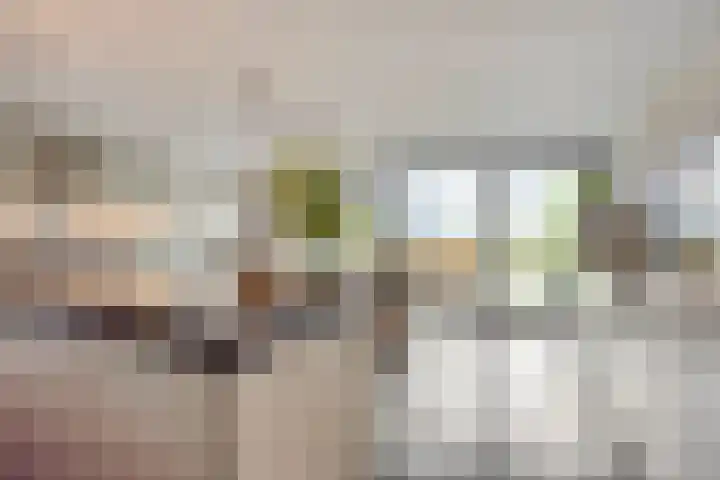 Europalaan 43 Epe thumbnail 17
