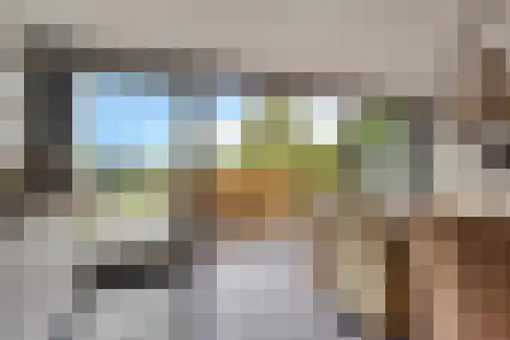 Europalaan 43 Epe thumbnail 19
