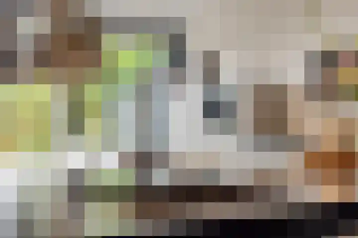 Europalaan 43 Epe thumbnail 21