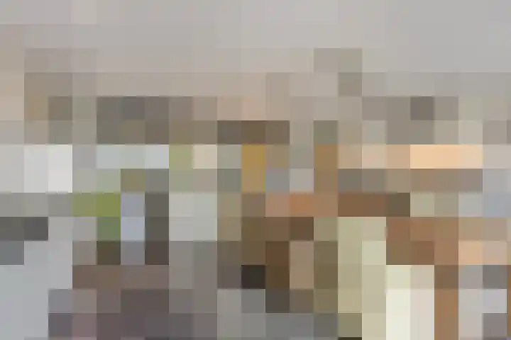 Europalaan 43 Epe thumbnail 23
