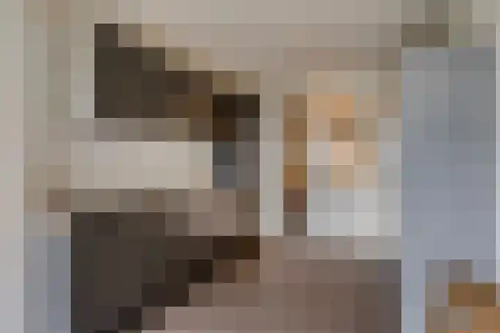 Europalaan 43 Epe thumbnail 29