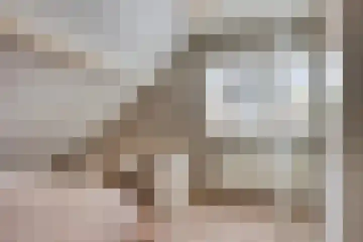 Europalaan 43 Epe thumbnail 35