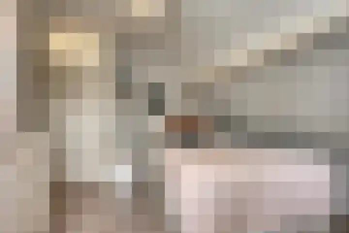 Europalaan 43 Epe thumbnail 36