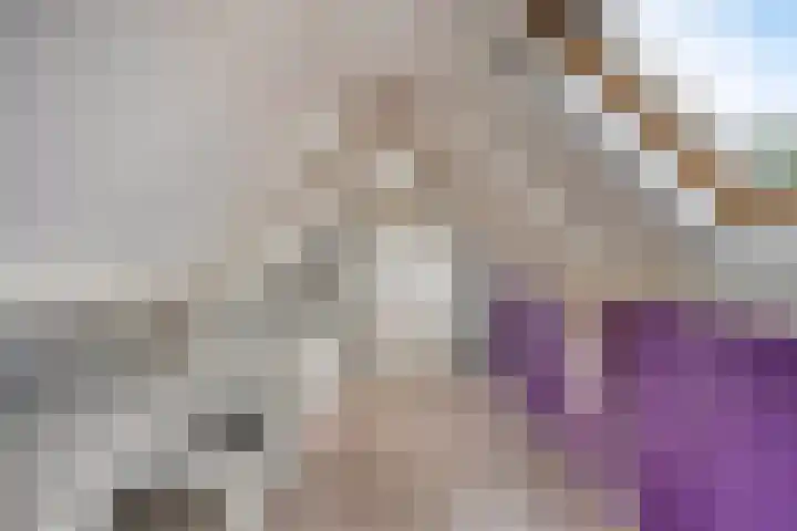 Europalaan 43 Epe thumbnail 40