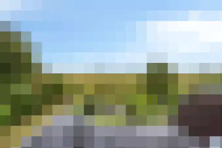 Europalaan 43 Epe thumbnail 43