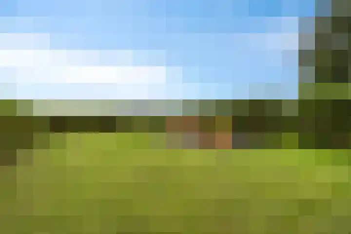 Europalaan 43 Epe thumbnail 45