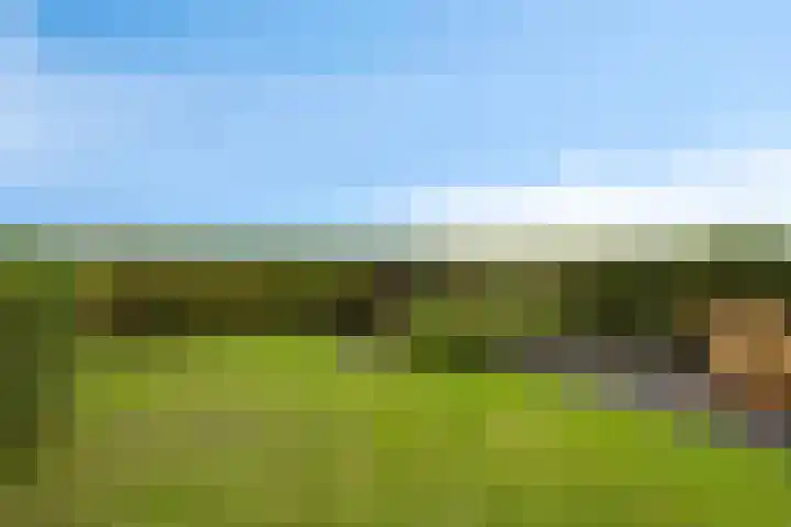 Europalaan 43 Epe thumbnail 47