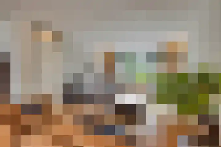 Europalaan 43 Epe thumbnail 9