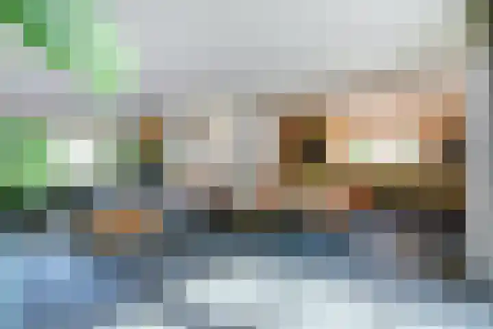 Europalaan 60 Bladel thumbnail 11
