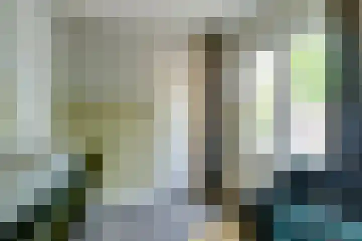 Europalaan 60 Bladel thumbnail 32
