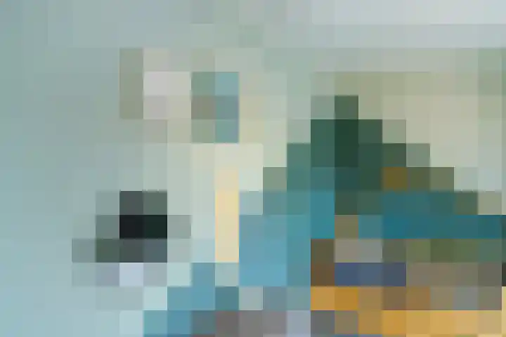 Europalaan 60 Bladel thumbnail 34