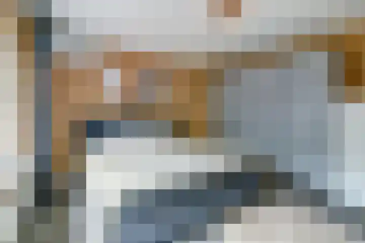 Europalaan 60 Bladel thumbnail 37