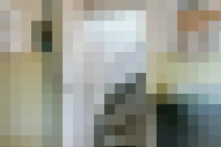 Europalaan 60 Bladel thumbnail 41