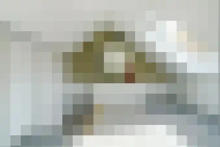 Europalaan 60 Bladel thumbnail 42