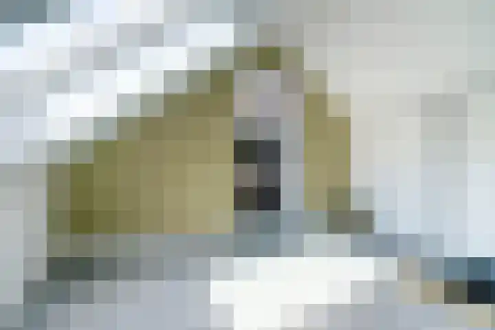 Europalaan 60 Bladel thumbnail 43
