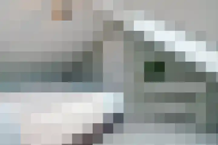 Europalaan 60 Bladel thumbnail 45