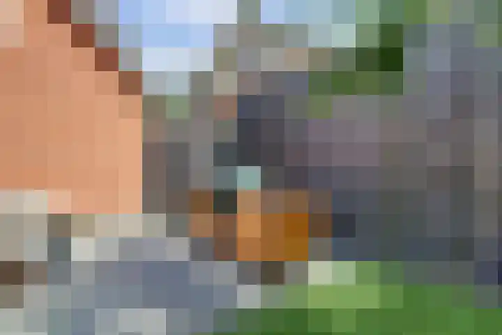 Europalaan 60 Bladel thumbnail 47