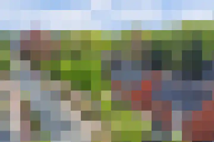 Europalaan 60 Bladel thumbnail 5