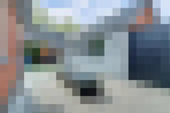 Europalaan 60 Bladel thumbnail 53