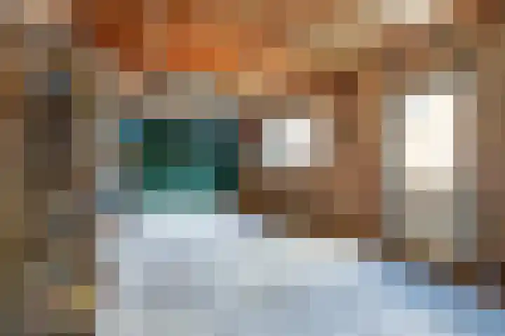 Europalaan 60 Bladel thumbnail 54
