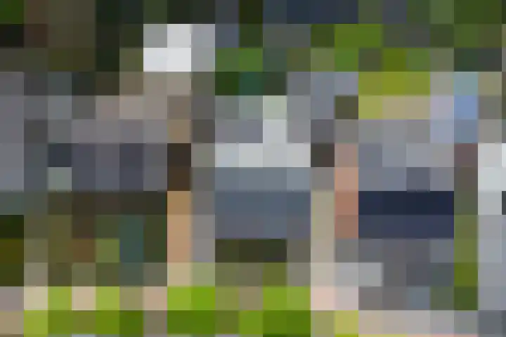 Europalaan 60 Bladel thumbnail 6