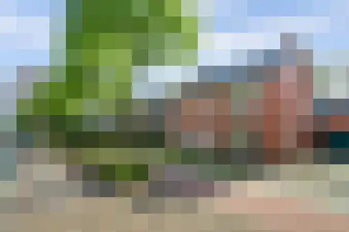 Europalaan 60 Bladel thumbnail 61