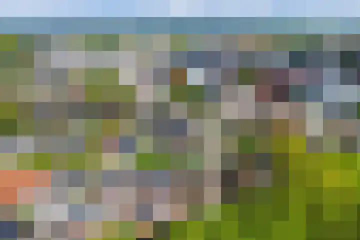Europalaan 60 Bladel thumbnail 7