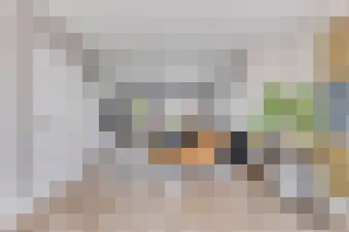 Europalaan 8 Drunen thumbnail 10