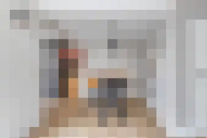 Europalaan 8 Drunen thumbnail 12