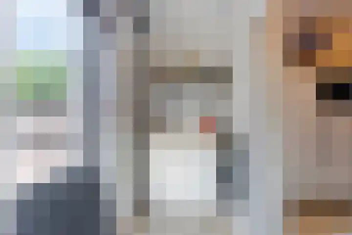 Europalaan 8 Drunen thumbnail 16