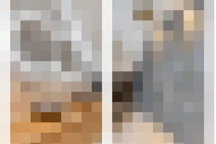 Europalaan 8 Drunen thumbnail 24