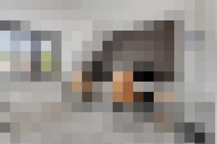 Europalaan 8 Drunen thumbnail 25