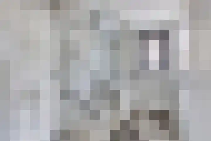 Europalaan 8 Drunen thumbnail 26
