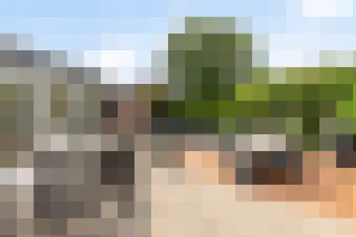 Europalaan 8 Drunen thumbnail 33