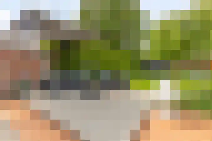 Europalaan 8 Drunen thumbnail 34